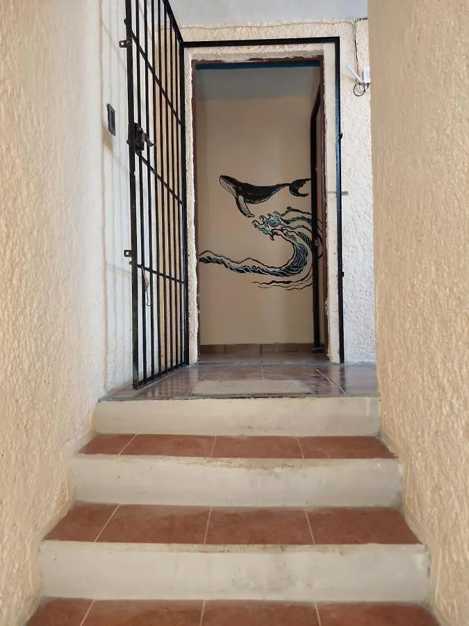 Venado 28 Hostel Cancun