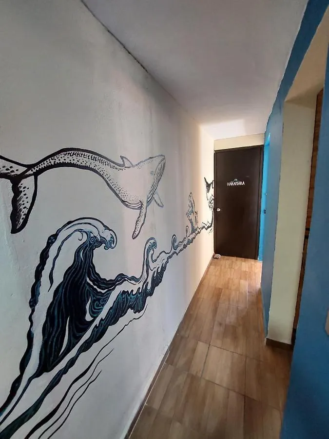 Venado 28 Hostel Cancun