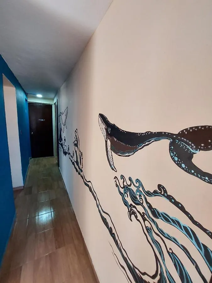 Venado 28 Hostel Cancun Mexico