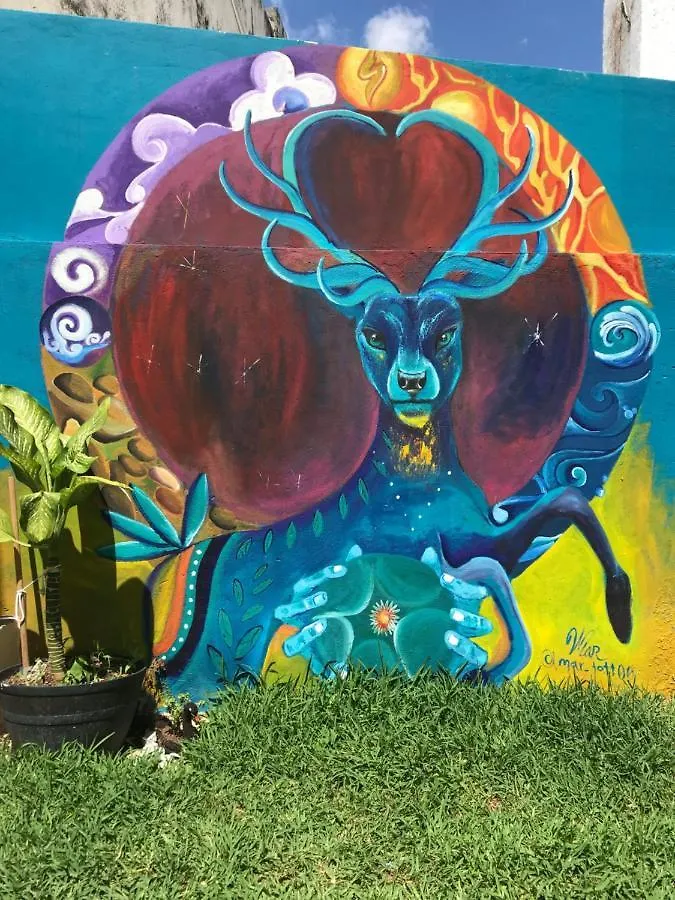 Venado 28 Hostel Cancun