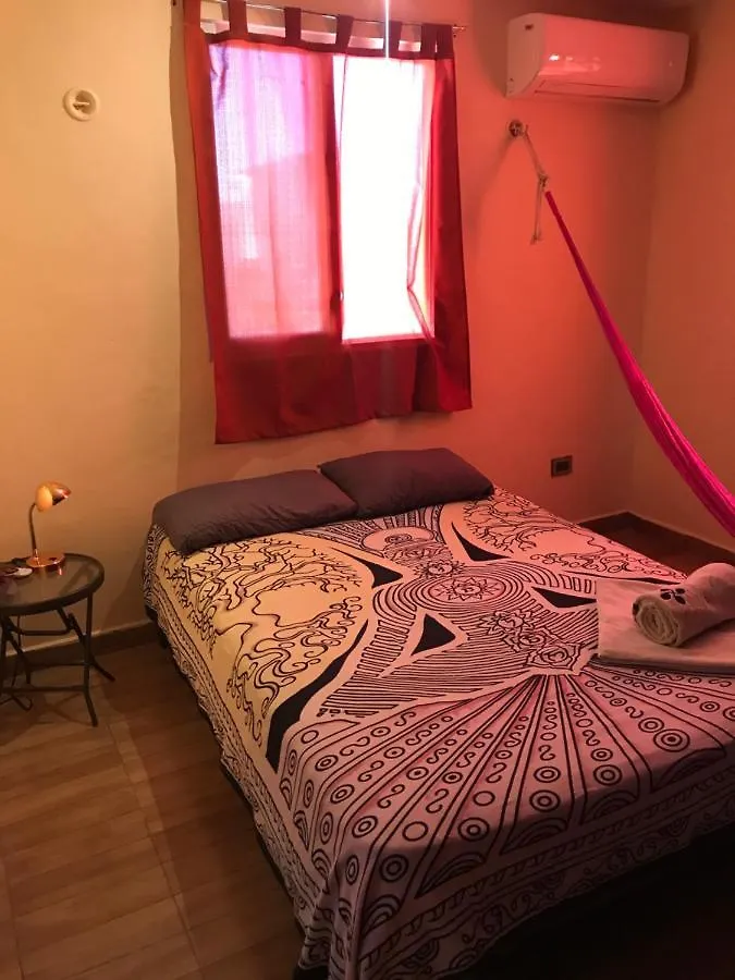 Venado 28 Hostel Cancun